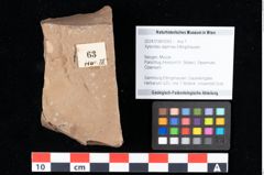 Foto (Objekt + Etikett) von Xylomites daphnes Ettingshausen (NHMW-GEO-2024-0188-0063)